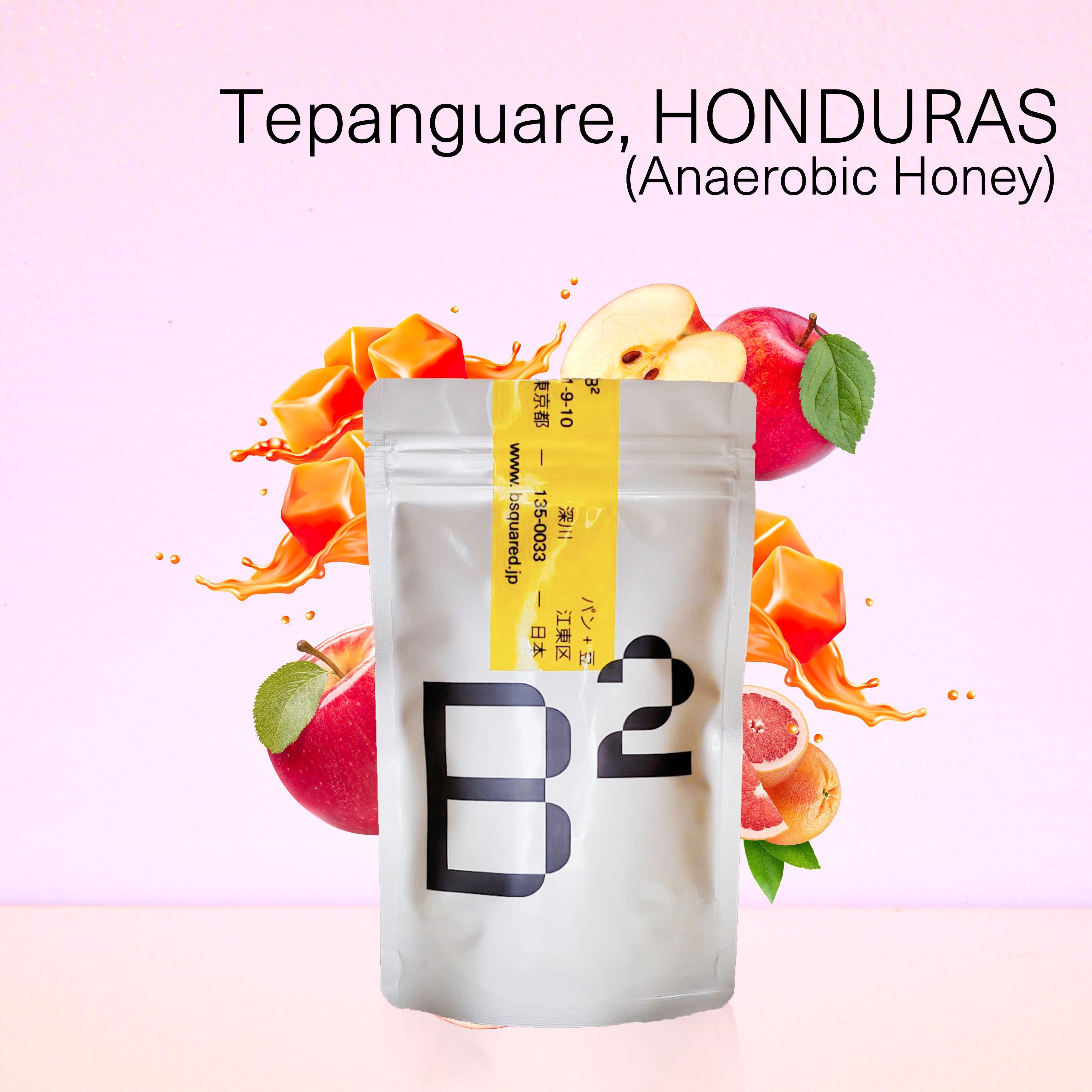 Tepanguare,HONDURAS / テパングアレ,ホンジュラス アナエロビック