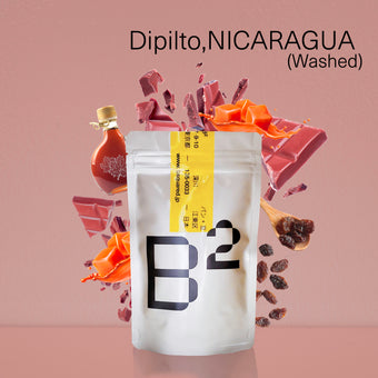 Dipilto,NICARAGUA / ディピルト,ニカラグア ウォッシュド 中煎