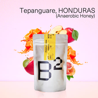 Tepanguare,HONDURAS / テパングアレ,ホンジュラス アナエロビックハニー 浅煎