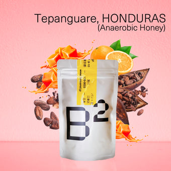 Tepangare, HONDURAS / テパングアレ,ホンジュラス アナエロビックハニー 中煎