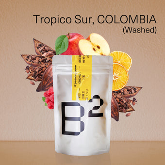 Tropico Sur, COLOMBIA / トロピコ・スル,コロンビア ウォッシュド 中煎